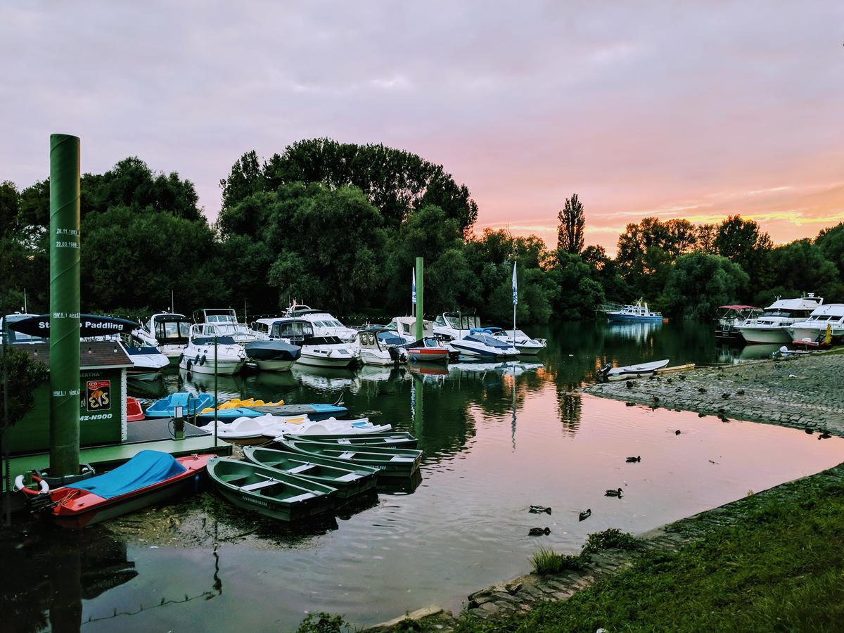 Hotel Peter Schaefer Ginsheim-Gustavsburg Esterno foto